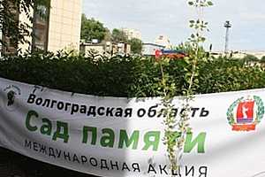 Фото: администрация Волгограда