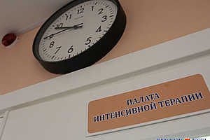 Фото: Дмитрий Рогулин / «Городские вести»